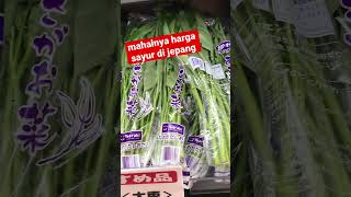 Mahalnya Harga sayur di jepang