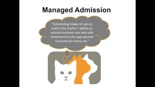 What Your Shelter Needs to Know about Maddie's Fund Million Cat Challenge and a Grant - webcast
