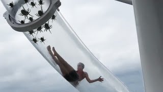 he went down a SPIDER infested water slide...