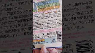 父の遺品？？15年前の古い種達。びくとも発芽しそうにない！！諦めたよ😭！