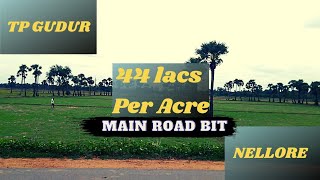 Mainroad bit Agriculture land@ TP Gudur||Nellore