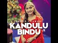 kandulu bindu