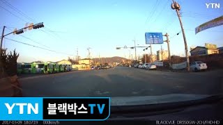 고라니도 아니고? / 블랙박스TV