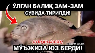 СУБҲАНАЛЛОҲ! ЗАМ-ЗАМНИНГ МЎЪЖИЗАКОР ХУСУСИЯТЛАРИНИ ҚАРАНГ! ҲАЙРАТДА ҚОЛАСИЗ!