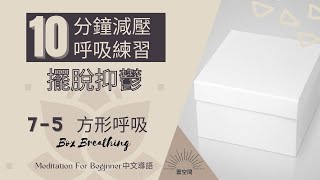 十分鐘放鬆冥想引導 減壓呼吸7-5  方型呼吸 Box Breathing  緩解焦慮 化解壓力 擺脫抑鬱 快速入睡 呼吸冥想 療愈痛苦 冥想正念 冥想引導 自我成長 心理學 十分鐘冥想