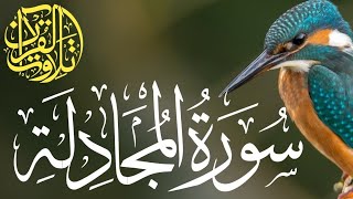 surah mujadilah | Surah Al mujadila hd text | Ramadan special