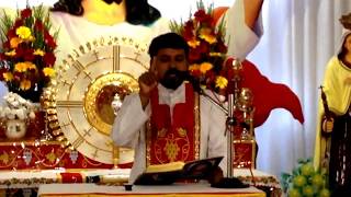 Mount Carmel Saturday Retreat, Fr Daniel Poovannathil Live Stream.