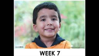 Second step week 7a story english