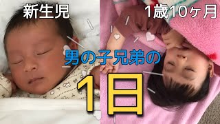 【新生児】赤ちゃんと1歳10ヶ月の男の子兄弟の1日【ルーティーン】