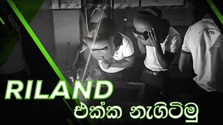 තාරුණ්‍යට හෙටක් හදන RILAND