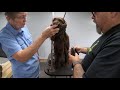 Show Grooming Spaniels, Springers & Setters with - Eric Salas