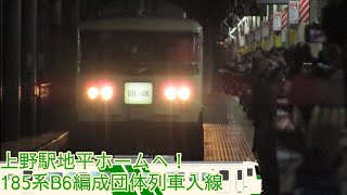 【上野駅地平ホームへ！】185系B6編成団体列車入線