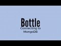 How to Connect to a Mongo DB in the Python Web Framework Bottle