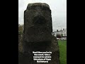 a little piece of easter island in dublin the moai statue 🗿