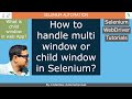 Selenium_Part 8: How to handle multi window or child window in Selenium?