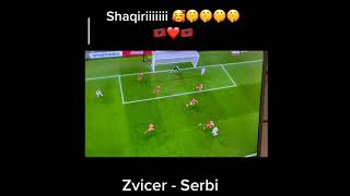 zvicer - serbi