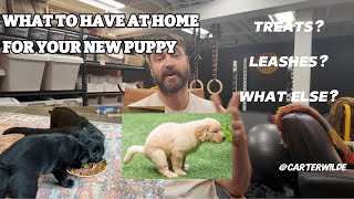 Watch this before you bring a new puppy home!!! (full product list)