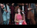 humsafar chahiye gul mishal bollywood song dance performance 2024