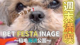 自然の中でペットと楽しむ！海辺のカフェ＆イベント〜PET FESTA INAGE〜2024年秋〜#わんこイベント#千葉県#稲毛海浜公園