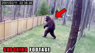 18 CLEAREST Bigfoot Encounters Caught on Camera