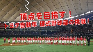 トヨタ硬式野球部の挑戦に密着！社会人野球の頂点を目指す！