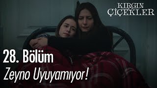 Zeyno uyuyamıyor! - Kırgın Çiçekler 28. Bölüm