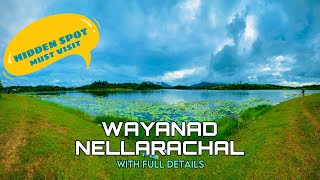 വയനാട്ടിൽ മനോഹരമായ ഒരു  സ്ഥലം |Hidden place at wayanad| Nelarachal | karapuzha Dam