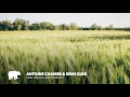 Antoine Chambe & Rémi Glrd - Make Me Alive (Dreyer Remix)