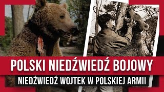 NIEDŹWIEDŹ W POLSKIM WOJSKU - WOJTEK