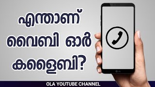 എന്താണ് വൈബി ഓർ കളൈബി? What is vaibi or kolaibi?