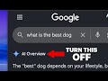 How to TURN OFF AI Overview in Google Chrome Search Results