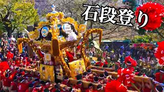 平成30年 荒川神社(本宮)岡田屋台 石段上がり 播州秋祭り