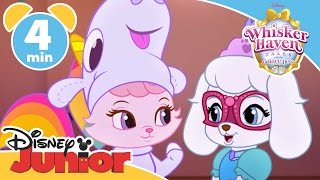 Whisker Haven Tales | Masquerade | Disney Junior UK