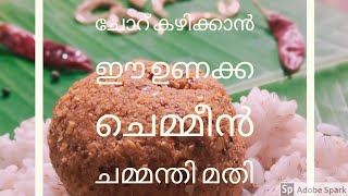 ചോറിനൊപ്പം കഴിക്കാൻ ഒന്നാന്തരം ഉണക്ക ചെമ്മീൻ ചമ്മന്തി|Dried Shrimp Chutney|Unaka Chemmeen Chammanthi