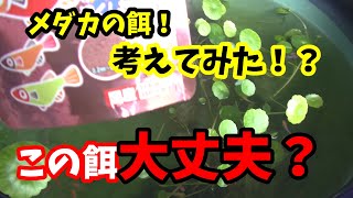 餌はどんなの与えていますか気になった餌があります！色揚げ？大丈夫でしょうか？調べてみました！その結果は？