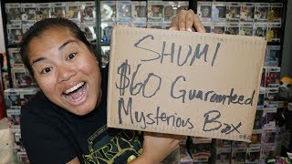shumi mystery boxes