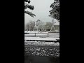 北海道芦別市　2020年11月10日火朝7時　市役所前雪景色