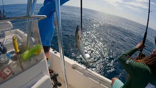 Epic Red Snapper \u0026 King Fish Fishing Adventure! 🎣🔥 | Hooking Giants on the High Seas