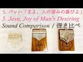 【カリンバ音色比較】アクリル・dual・34key／録音方法やオススメポイントも解説／kalimba sound comparison／acrylic dual seeds 34key