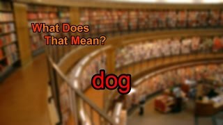 What does dog mean?