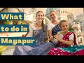 10 Things to do in Mayapur