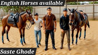 English Horses available in Hyderabad | Indian breed horse | Saste ghode in Hyderabad Mehdipatnam