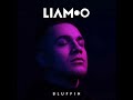 LIAMOO: Bluffin (Audio)