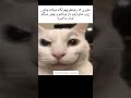 تمام عمرم منتظر این لحظه بودم رفیق❌😂💦 میم funny میمز فان کلیپ خنده