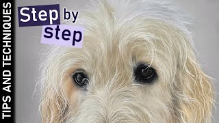 How to draw fur in pastels | Step by Step | Labradoodle drawing