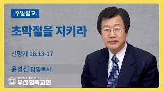 부산영락교회_20211114_주일설교_초막절을 지키라_신명기 16장 13-17절_윤성진 담임목사