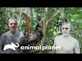 As melhores aventuras do Frank no México | Wild Frank | Animal Planet Brasil