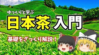 🔰【初心者向け】ゆっくりで学ぶ！日本茶入門～基礎知識をざっくり解説～