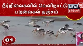 நீர்நிலைகளில் வெளிநாட்டு பறவைகள் - இராமநாதபுரம் | பருவமழை முன்னேற்பாடு ஆய்வு - நாமக்கல்