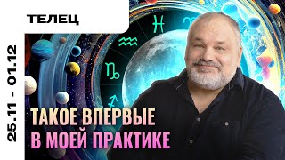 ТЕЛЕЦ: ДЕЛИКАТНОЕ ПРЕДУПРЕЖДЕНИЕ НА 25 НОЯБРЯ - 1 ДЕКАБРЯ | ТАРО ПРОГНОЗ И МЕДИТАЦИЯ